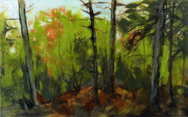 Woodland Scene, Monhegan, Maine by Robert Henri