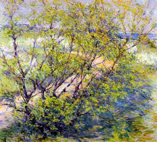 Autumn Landscape by Robert Reid