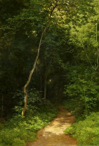 Forest Track by Robert Zund