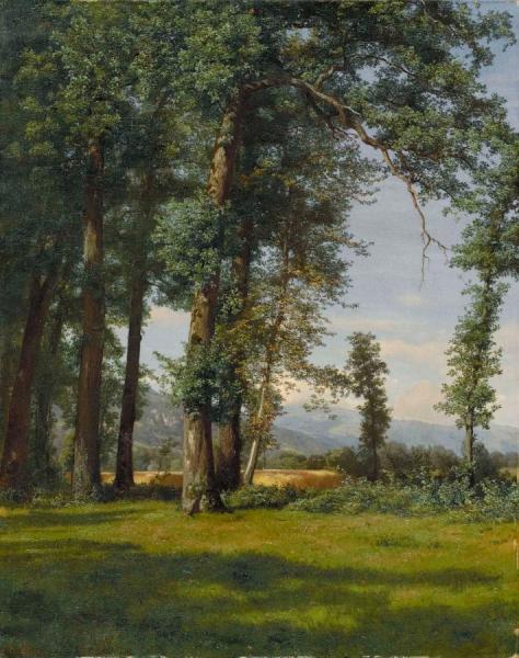 Summer Landscape (clearance In An Oak Forest), 1858 by Robert Zund