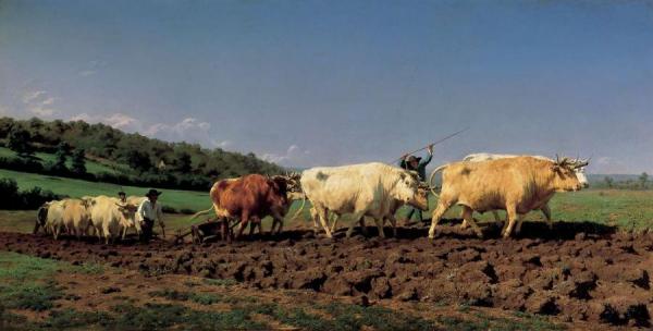 Plowing In The Nivernais by Rosa Bonheur Oil Painting Reproductions