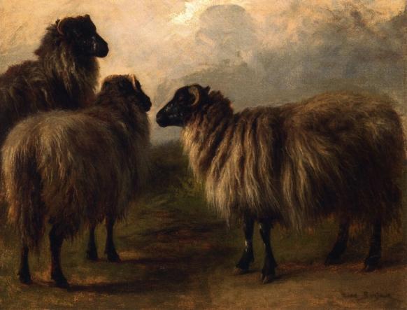 Three Wooly Sheep by Rosa Bonheur Oil Painting Reproductions