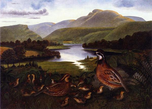 Quail In Landscape by Rubens Peale