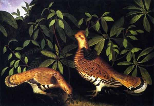 Two Ruffed Grouse by Rubens Peale