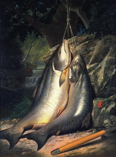 Steelhead Salmon by Samuel Marsden Brooks Oil Painting Reproductions