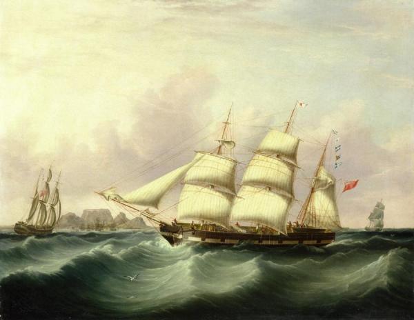 The 'alert' Of Liverpool Off Capetown by Samuel Walters