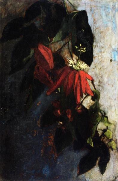Passion Flowers by Sarah Wyman Whitman