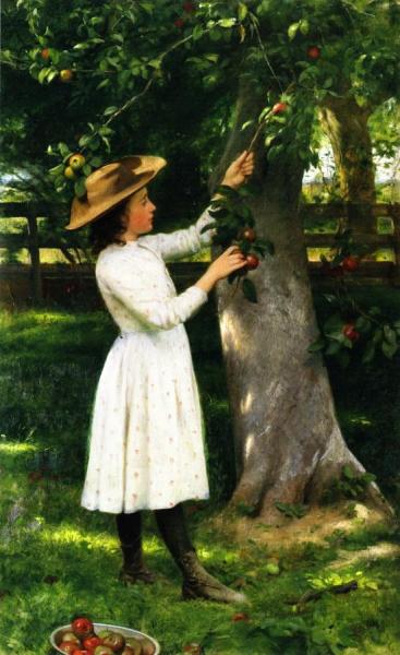The Pick Of The Orchard by Seymour Joseph Guy
