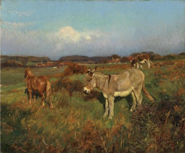 A Pony And Donkeys by Sir Alfred James Munnings Oil Painting Reproductions