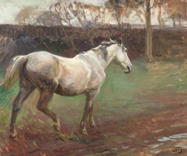 Irish Grey Mare by Sir Alfred James Munnings