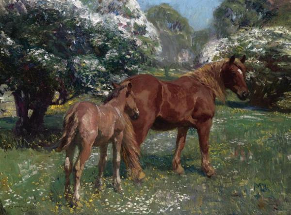 Mare And Foal In A Spring Meadow by Sir Alfred James Munnings