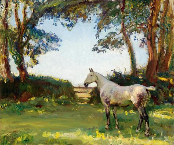 The Grey Mare by Sir Alfred James Munnings Oil Painting Reproductions
