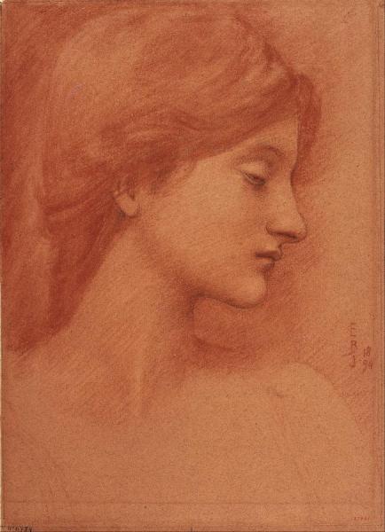 Sir Edward Coley Burne-jones Study Of A Female Head