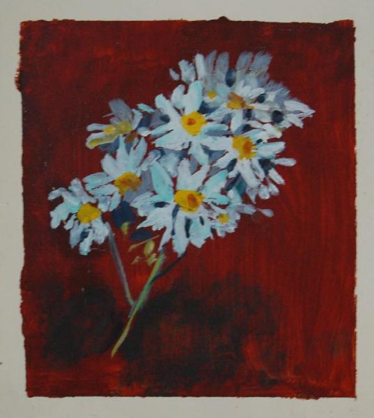 Daisies On Red Ground by Stan Smith