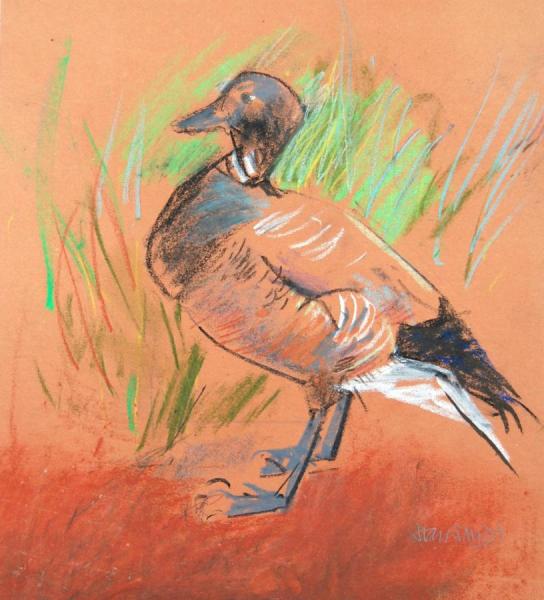 Egyptian Goose Ii by Stan Smith