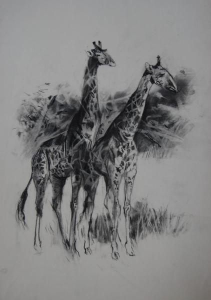 Giraffes by Stan Smith