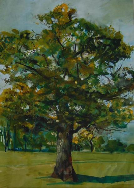 Stan Smith Oak Tree, Twickenham