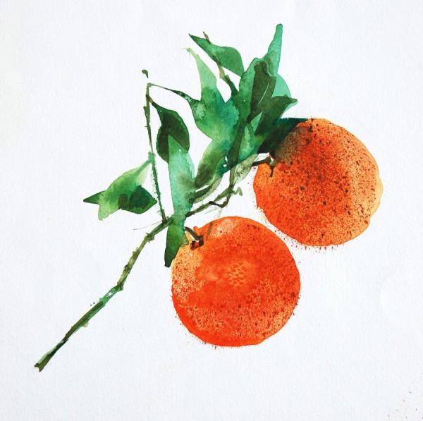 Orange With Leaves by Stan Smith