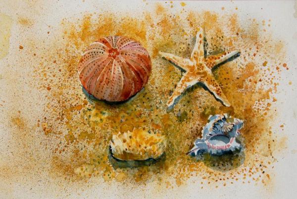Starfish, Urchin, Shells by Stan Smith