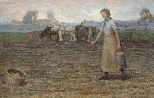 In The Potato Fields, Ecclesfield, Early Evening by Stanley Royle