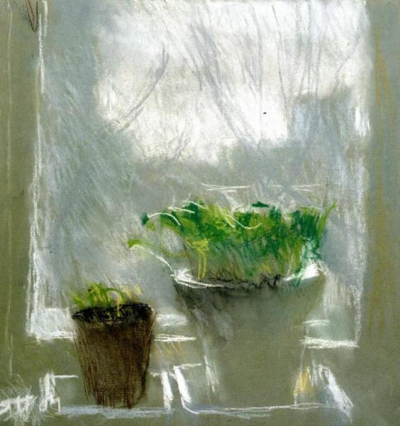 Sprouts by Tatiana Yablonskaya