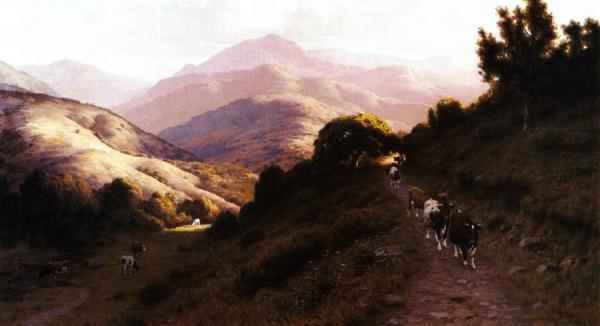 Cattle In The Marin Hills by Thaddeus Welch