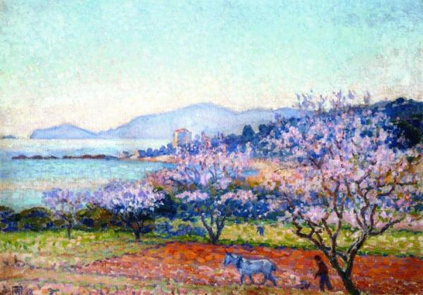 Almond Tree In Blossom by Theo Van Rysselberghe