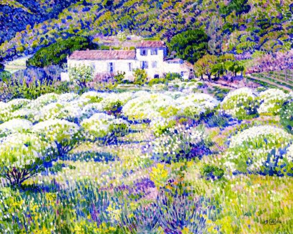 Anthemis In Flower by Theo Van Rysselberghe