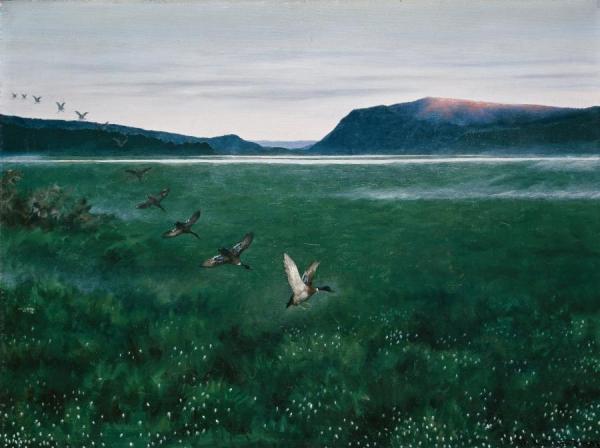 The Twelwe Wild Ducks by Theodor Kittelsen