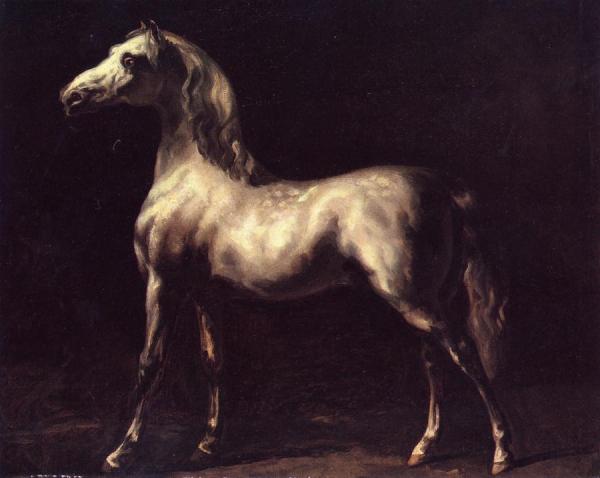 Theodore Gericault Grey Stallion