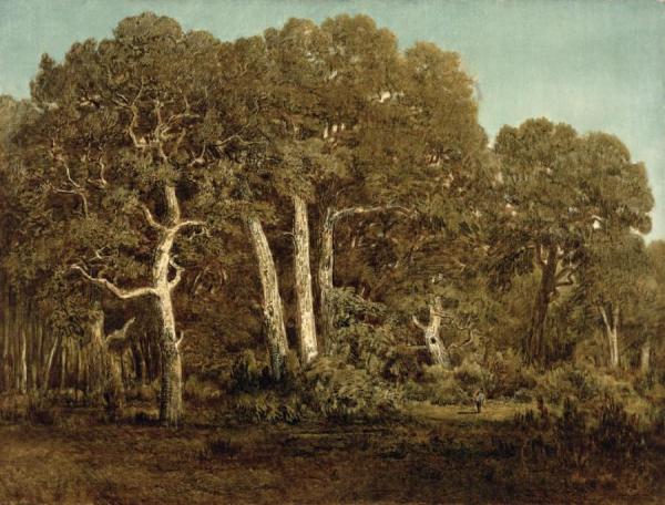 The Great Oaks Of Old Bas-breau by Théodore Roussel