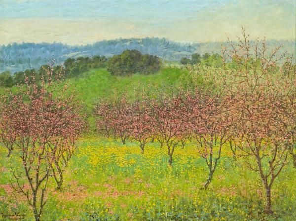 Peach Blossoms,saratoga,california,1921 by Theodore Wores