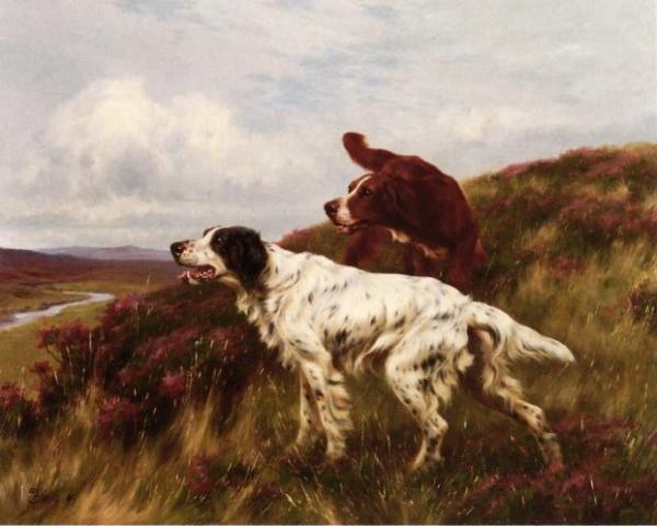 Two Setters by Thomas Blinks