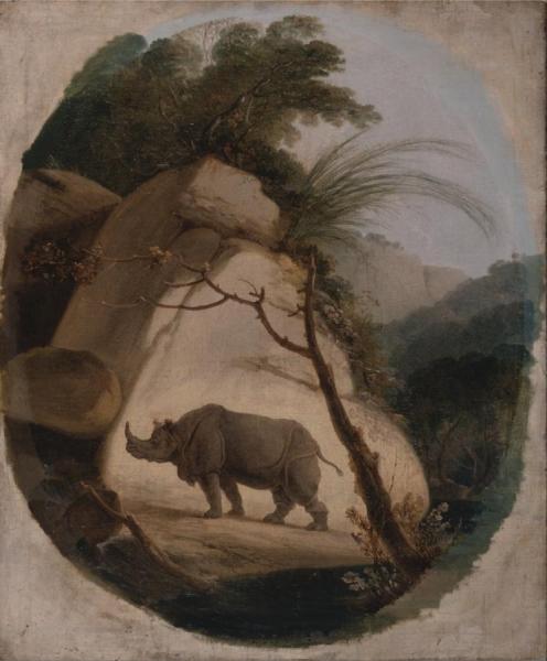 The Indian Rhinoceros by Thomas Daniell