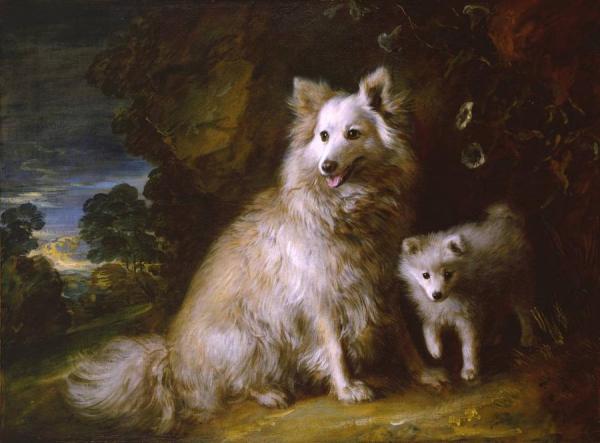 Pomeranian Bitch And Pup by Thomas Gainsborough Oil Painting Reproductions
