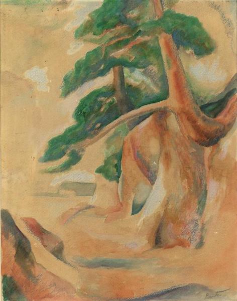 Pine Trees Growing On A Coastline Embankment by Thomas Hart Benton Oil Painting Reproductions