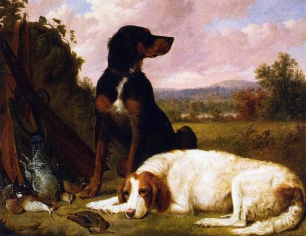 The Day's Bag: Guns Dogs And Game by Thomas Hewes Hinckley