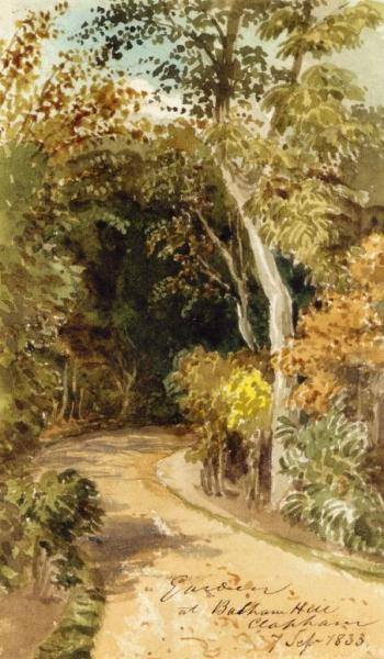 Study Of Trees In South-west London by Thomas Lindsay