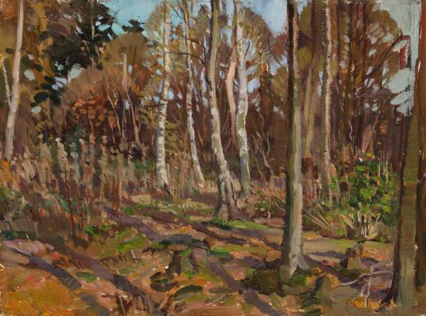 View Of Algonquin Park by Thomas (tom) John Thomson Oil Painting Reproductions