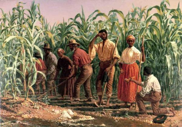 Thomas Waterman Wood A Southern Cornfield, Nashville, Tennessee