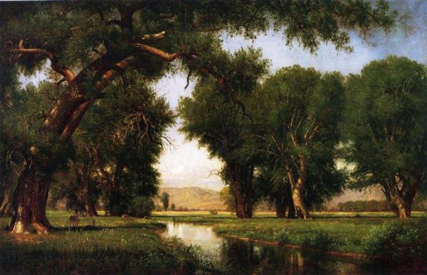 On The Cache La Poudre River, Colorado by Thomas Worthington Whittredge