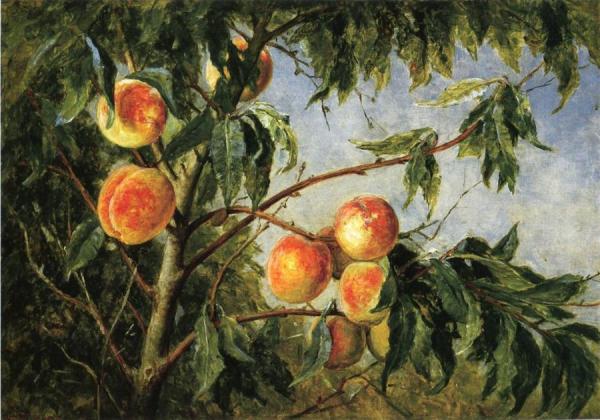 Peaches by Thomas Worthington Whittredge