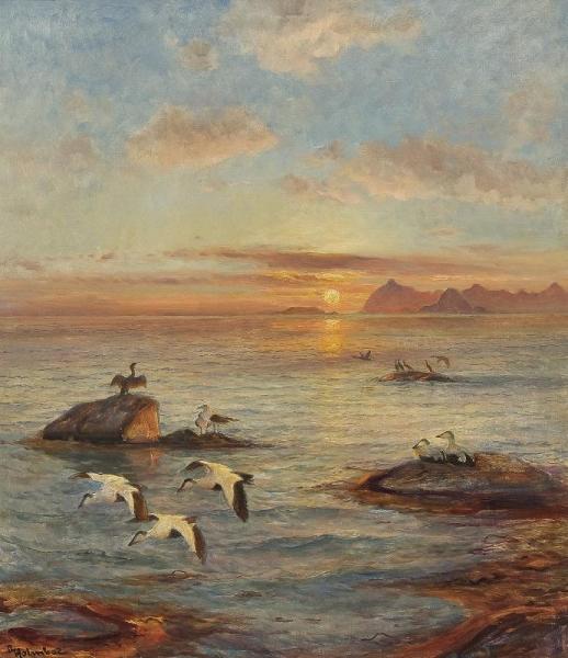 Thorolf Holmboe Eider Ducks In The Midnight Sun