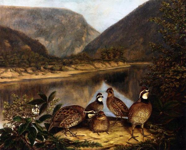 Titian Ramsey Peale Ii Five Bobwhites At The Delaware Water Gap