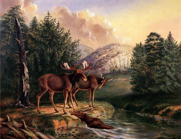 Titian Ramsey Peale Ii Moose In Maine