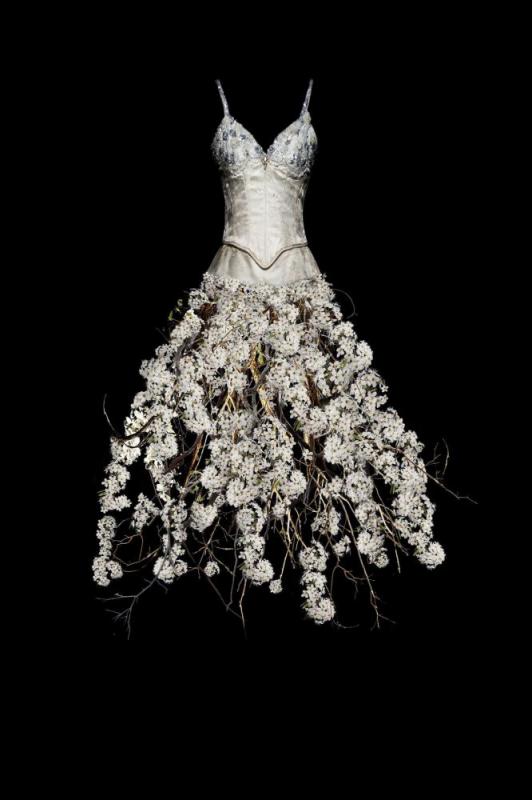 Untitled, (white Flower Dress), 2010 by Todd Murphy