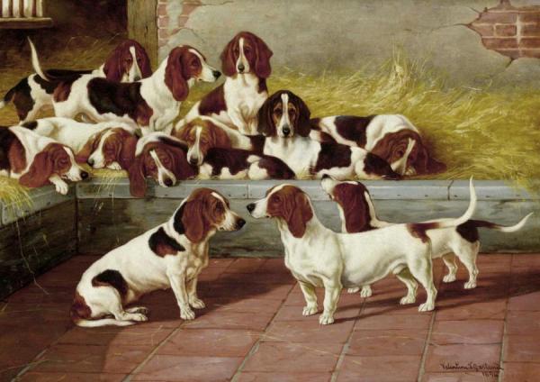 A Pack Of Basset Hounds by Valentine Thomas Garland