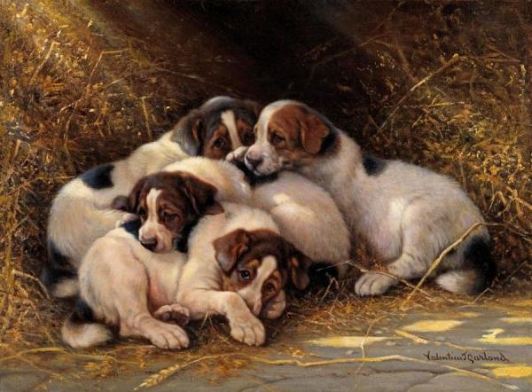 Four Puppies In A Haystack by Valentine Thomas Garland