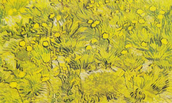 A Field Of Yellow Flowers by Vincent Van Gogh