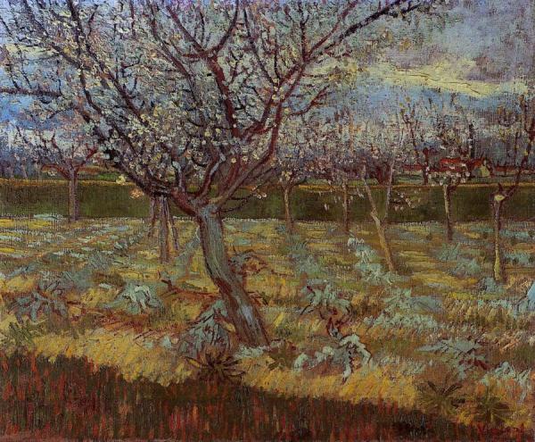 Apricot Tree In Bloom by Vincent Van Gogh Oil Painting Reproductions
